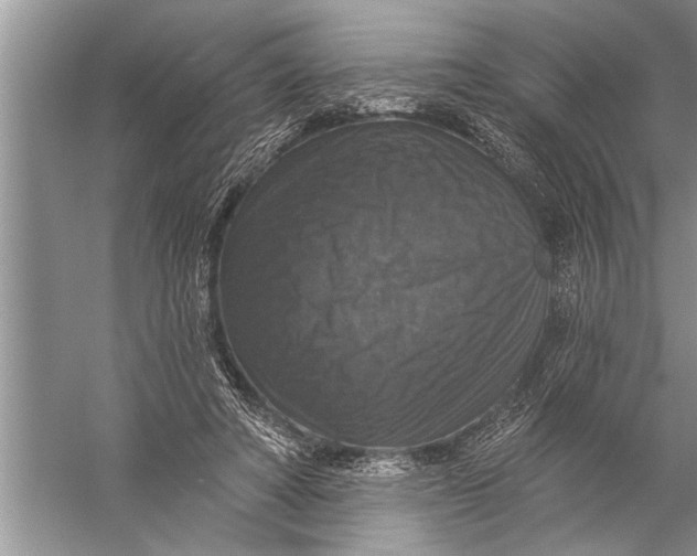 X0000057070402200510010139