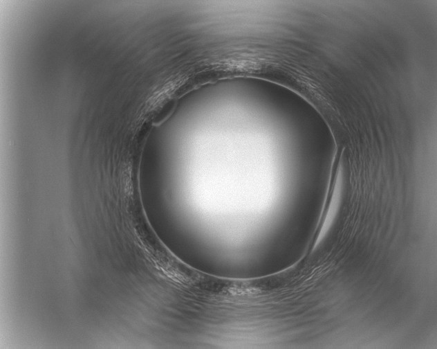 X0000057070403200510010139