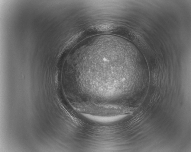 X0000057070404200510010139