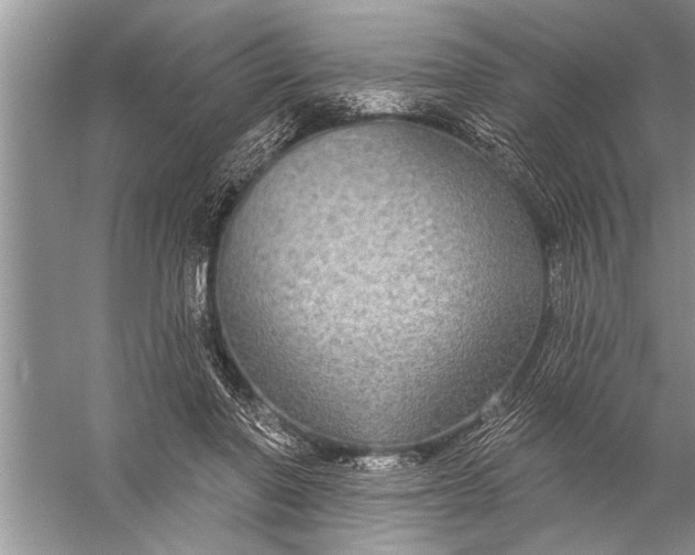 X0000057070406200510010139