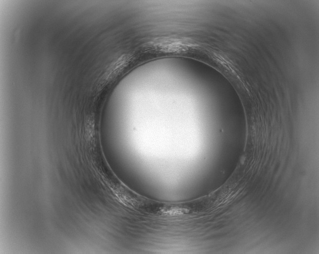 X0000057070407200510010139