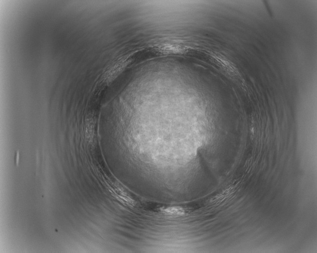 X0000057070409200510010139