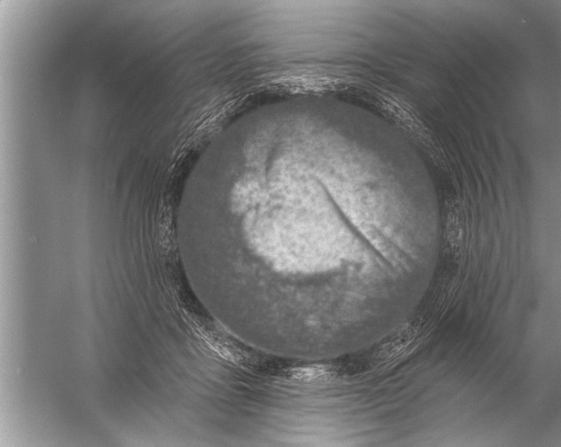 X0000057070411200510010139