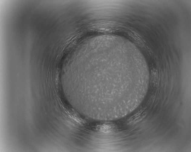 X0000057070412200510010139