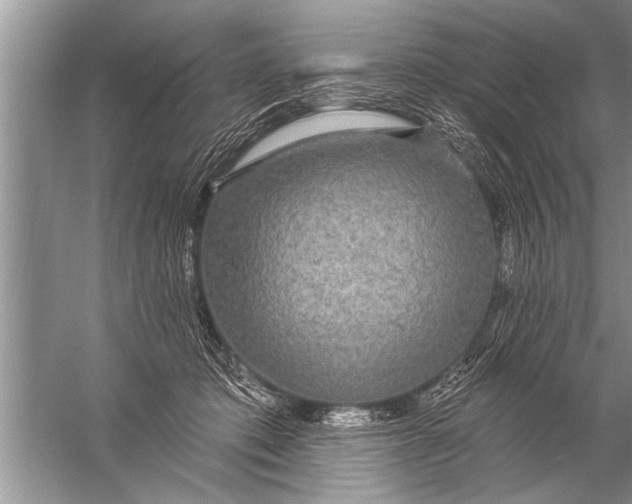 X0000057070413200510010139