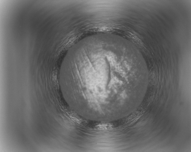 X0000057070415200510010138