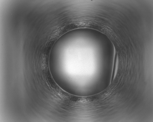 X0000057070416200510010138