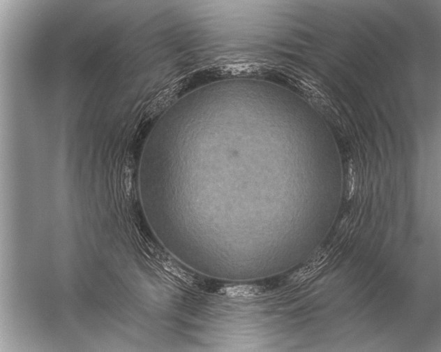 X0000057070417200510010138