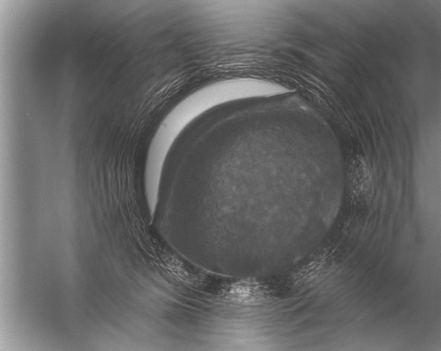 X0000057070420200510010138