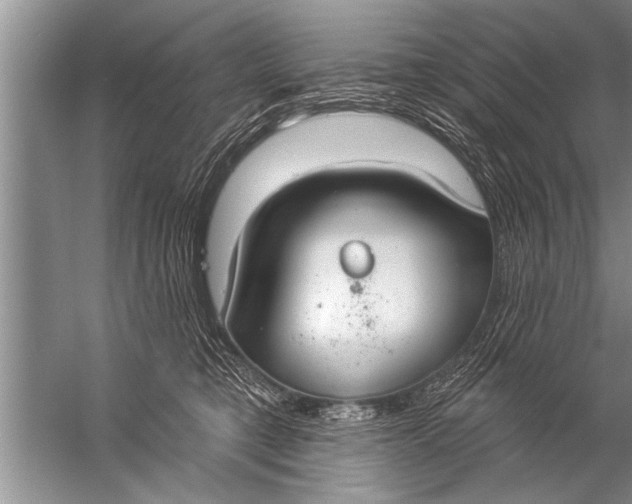 X0000057070421200510010138