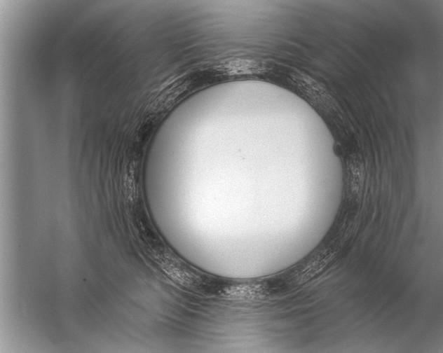 X0000057070422200510010138