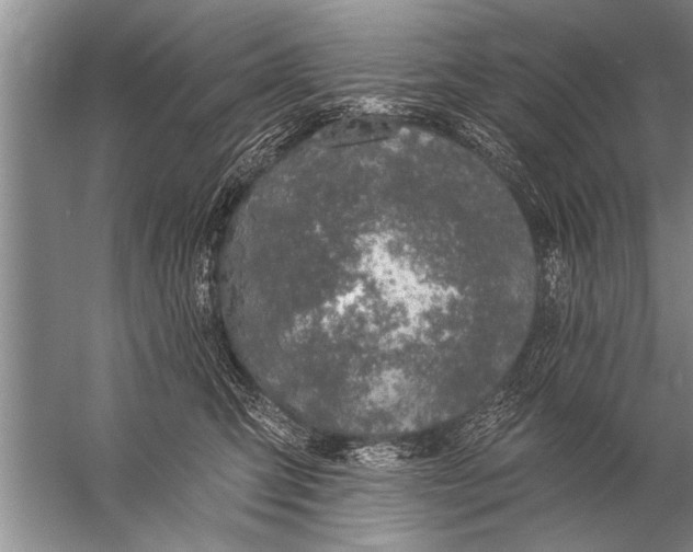 X0000057070423200510010138