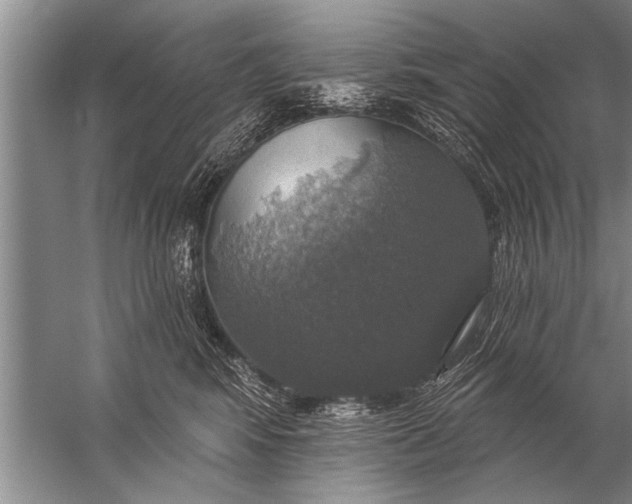 X0000057070424200510010138