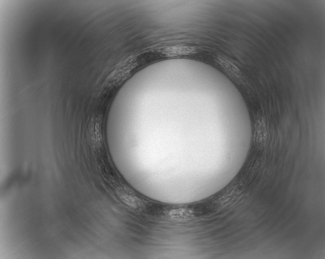 X0000057070426200510010138