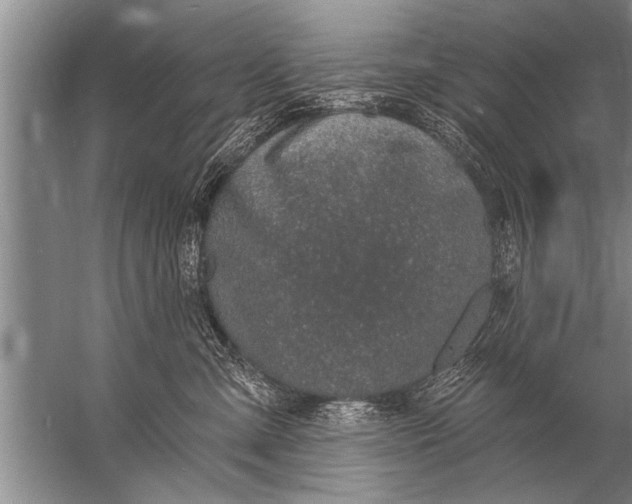 X0000057070427200510010138