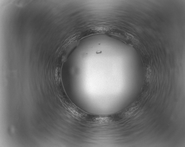 X0000057070428200510010138