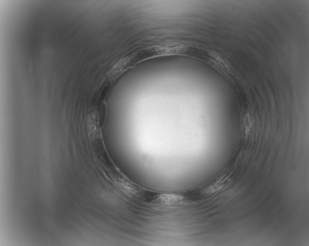 X0000057070429200510010138