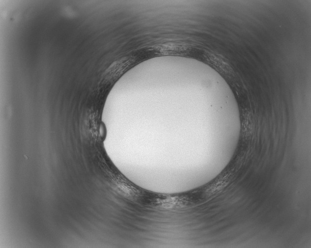 X0000057070430200510010138