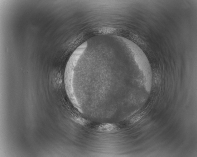 X0000057070431200510010138