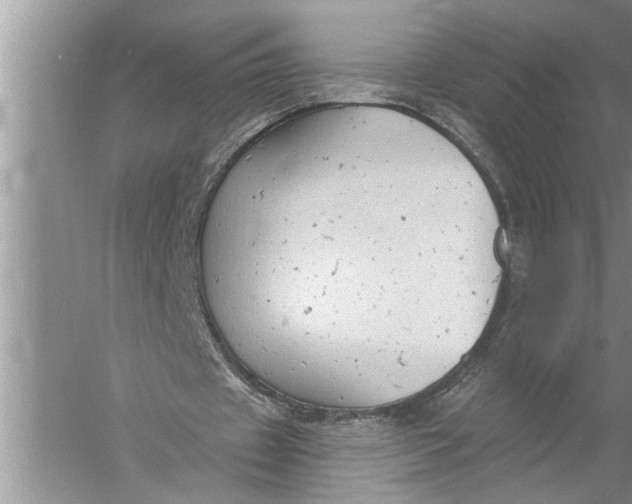 X0000057070433200510010137