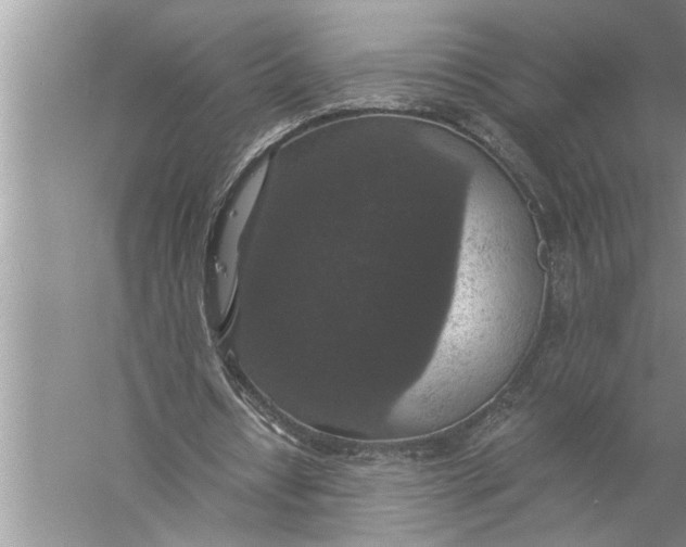 X0000057070434200510010137