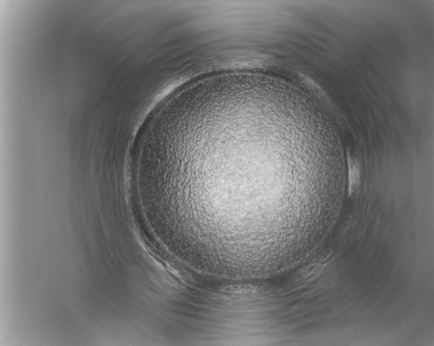 X0000057070435200510010137