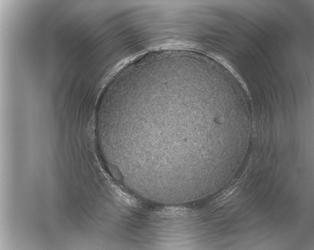 X0000057070437200510010137