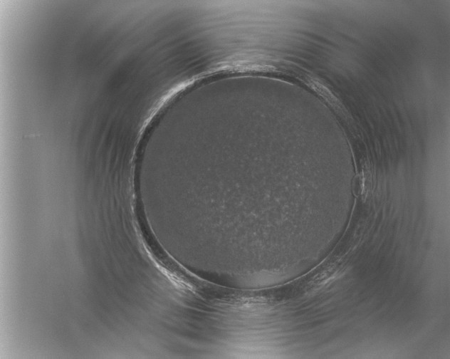 X0000057070438200510010137