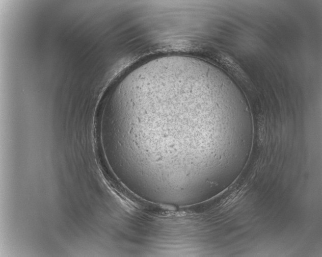 X0000057070439200510010137