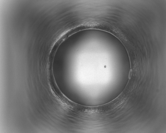 X0000057070440200510010137