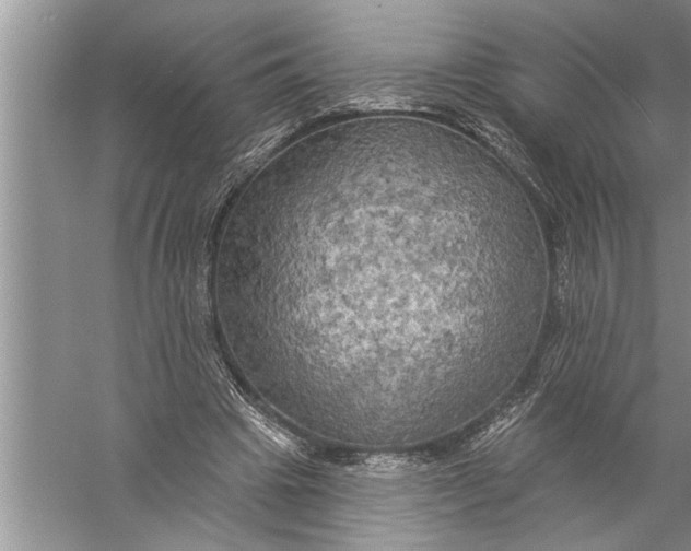 X0000057070441200510010138