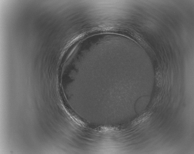 X0000057070442200510010138