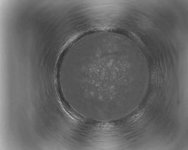 X0000057070443200510010138