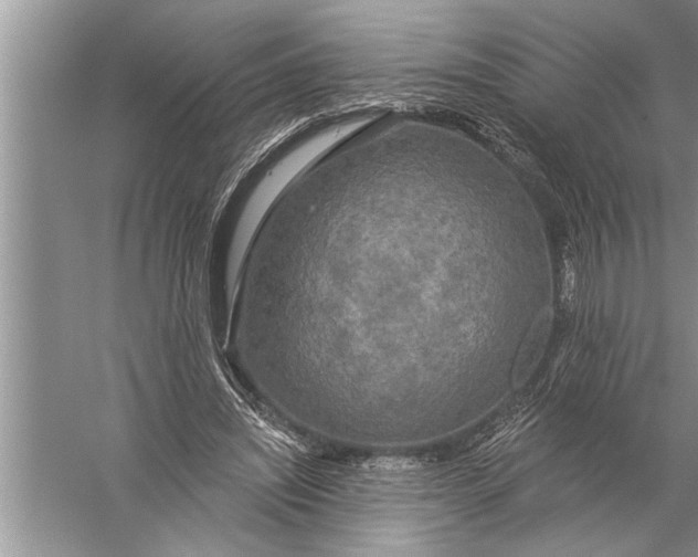 X0000057070444200510010138