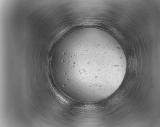 X0000057070445200510010138