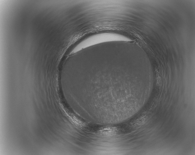 X0000057070447200510010138