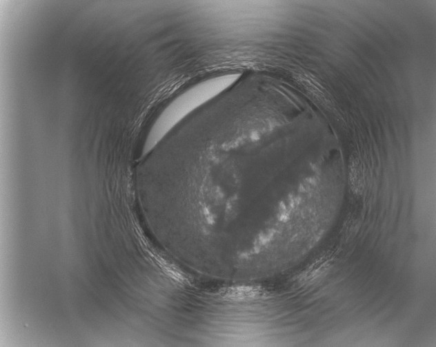 X0000057070449200510010138