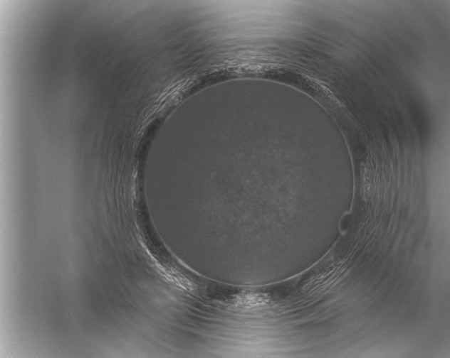 X0000057070451200510010138