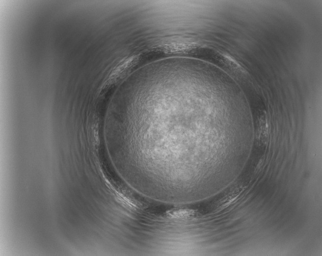 X0000057070452200510010138