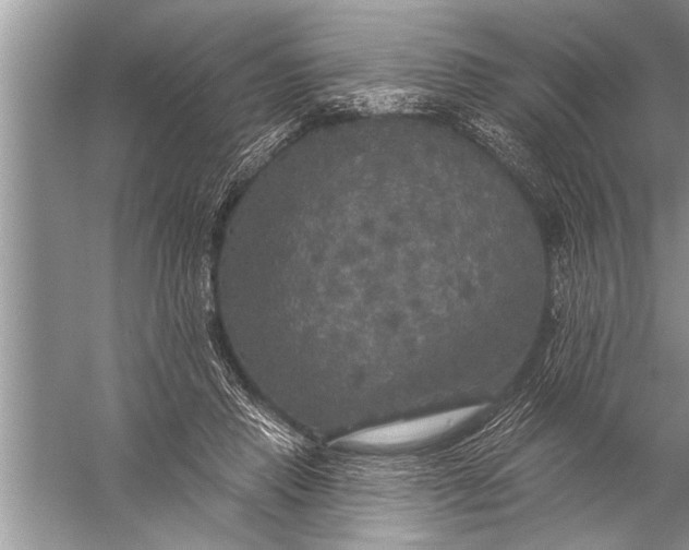 X0000057070453200510010138