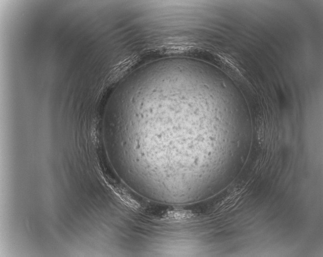 X0000057070455200510010138