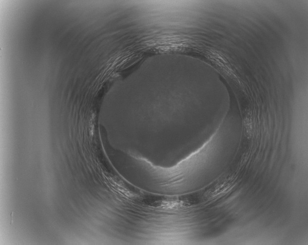 X0000057070458200510010138