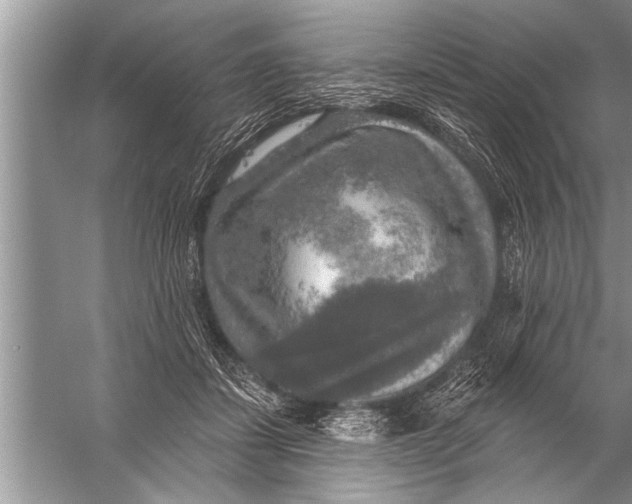 X0000057070459200510010138