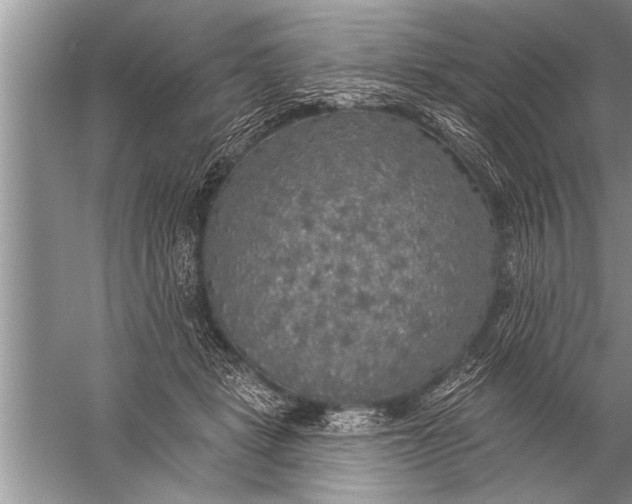 X0000057070461200510010138