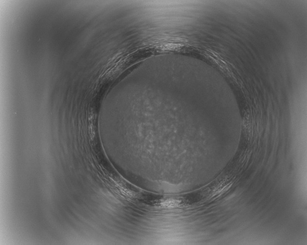 X0000057070462200510010138