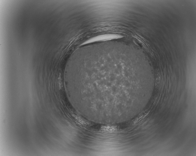 X0000057070469200510010138