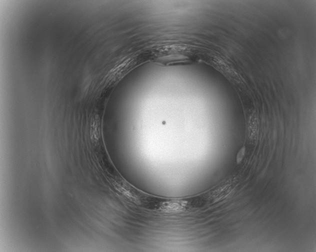 X0000057070474200510010138