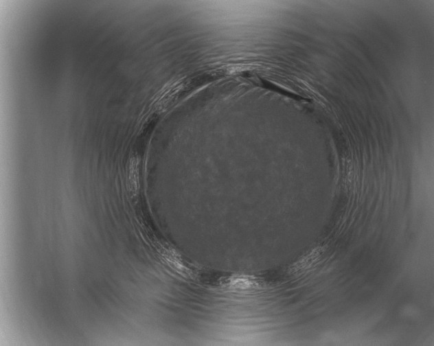 X0000057070475200510010138