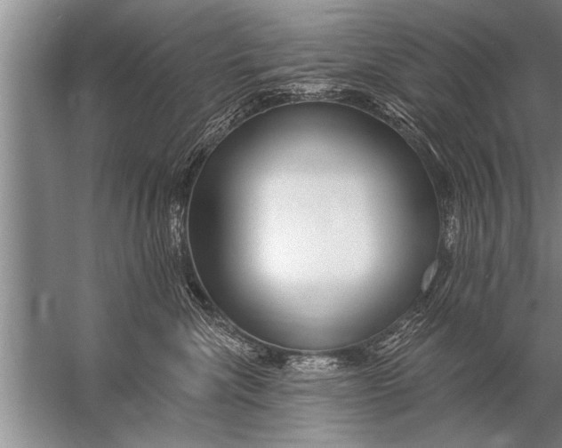 X0000057070476200510010138