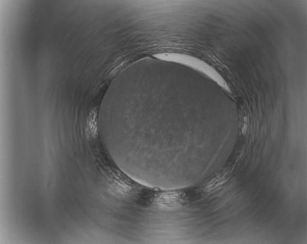 X0000057070479200510010138